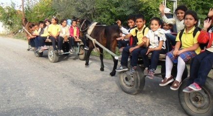 Öğrenciler okula at arabasıyla gidiyor
