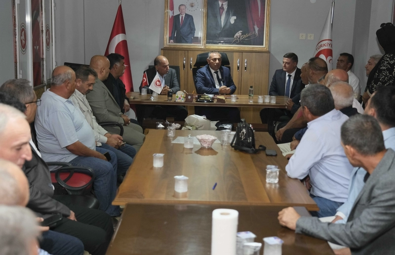 Yumurtalık
