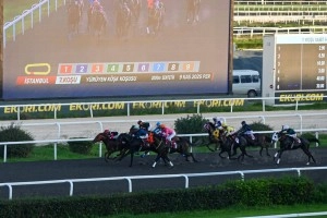 9. Yürüyen Köşk Koşusu