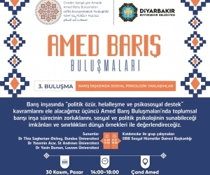 Amed Barış Buluşmaları