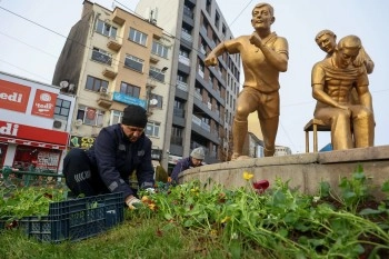 Eskişehir Büyükşehir Belediyesi, Kış Ayları İçin 410 Bin Menekşe Üretiyor