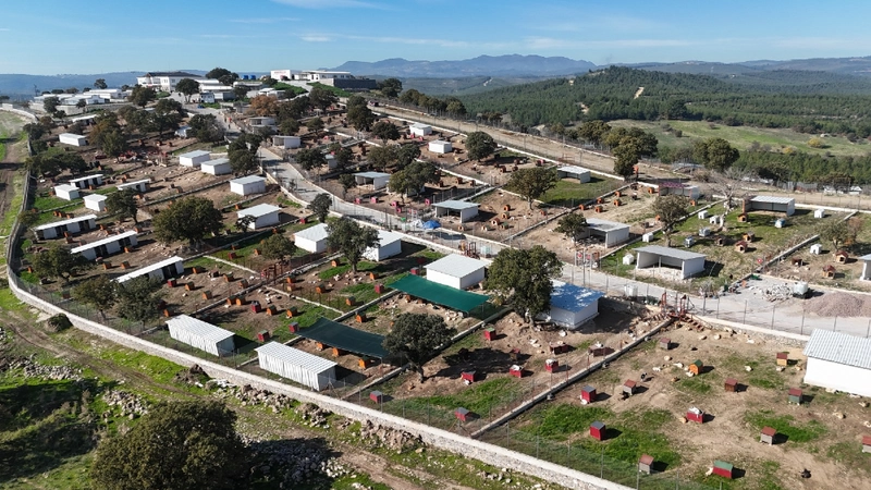 Yunusemre Hayvan Yaşam Merkezi, sahipsiz hayvanlara modern yuva oldu