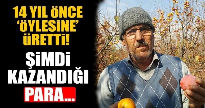 14 yıl önce alternatif olarak üretti şimdi ise...