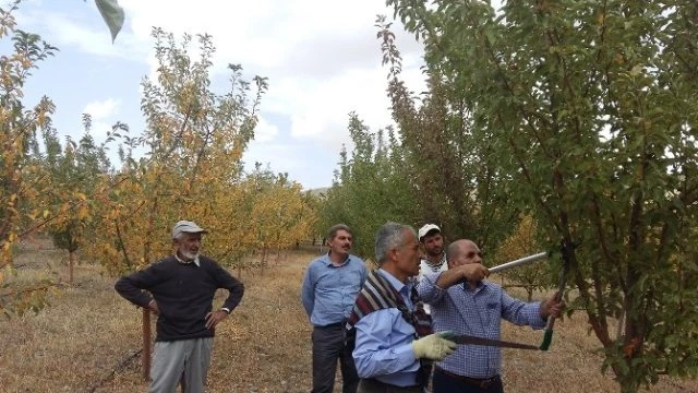 2016 Yılı Güz Dönemi Malatya İli Tarımsal Yayım ve Eğitim` Programı Başladı