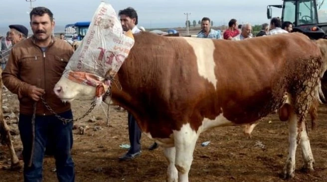 35 bin liraya alıcı bekliyor!
