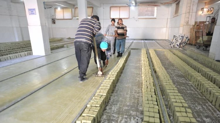Ağaçtan sabuna zeytinin hikayesi