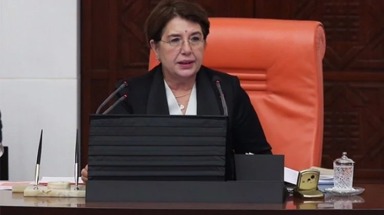 Almanya'dan Bahçekapılı'ya skandal muamele