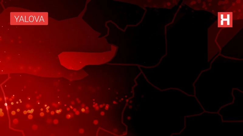 Altınova`da seyir halindeki otomobil yandı