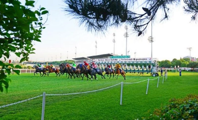 Atlar start hakemi emrine giriyor, yarışlarda ilkbahar-yaz sezonu başlıyor