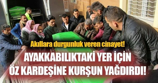Ayakkabılıktaki yer kavgasında abi kardeşini öldürdü