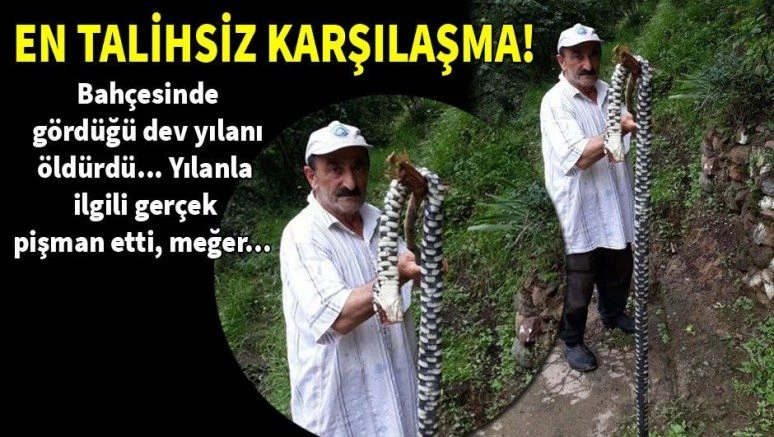 Bahçesinde gördüğü 2 metrelik endemik tür yılanı..
