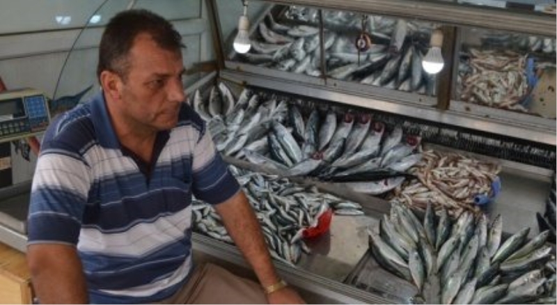 Balık fiyatları düştü
