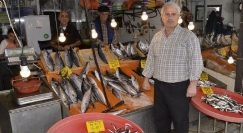 Balık tezgahlarının gözdesi palamut