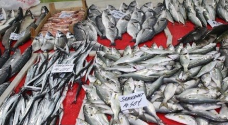 Balık zekayı geliştiriyor, bağışıklığı güçlendiriyor