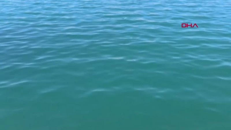 BALIKESİR AYVALIK`IN KIRMIZI MERCANLARI KEŞFEDİLMEYİ BEKLİYOR