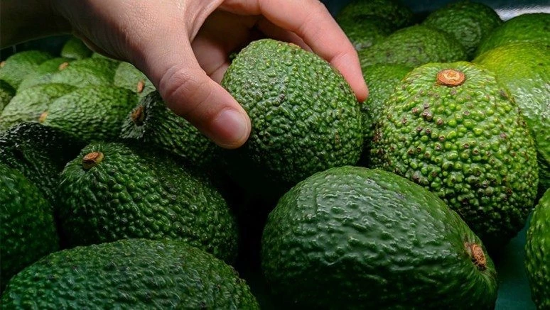 Benzediği organa iyi gelen 15 süper yiyecek!