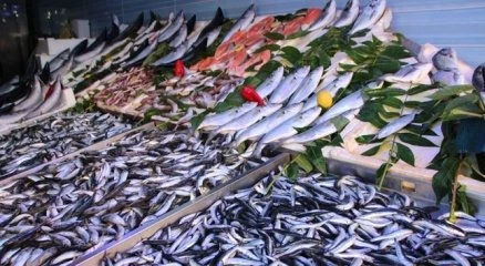 Bilecik?te balık fiyatları cep yakıyor