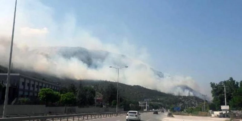 BİLECİK`TE ORMAN YANGINI
