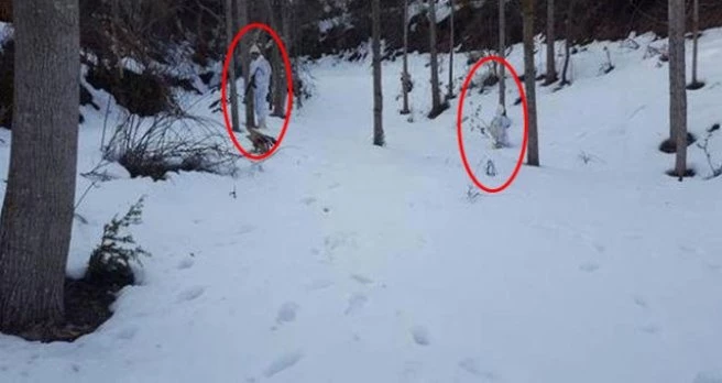 Bingöl?de Sabaha Karşı Operasyon 4 Terörist Öldürüldü, 1 Terörist Yakalandı