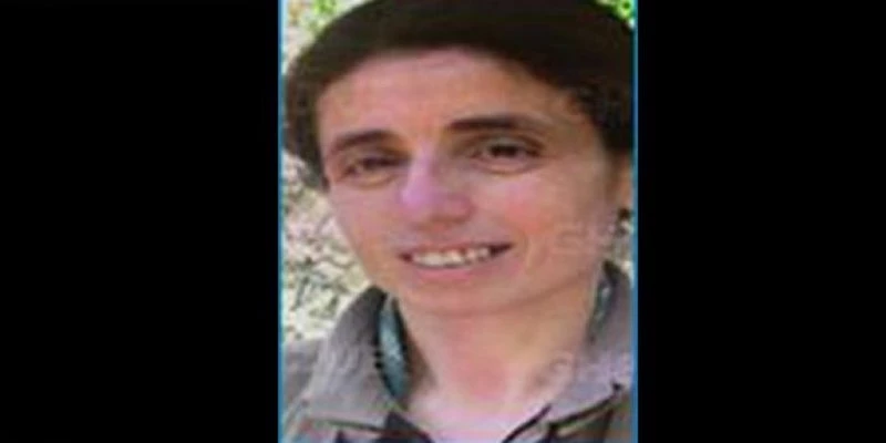 BİR TERÖRİST DAHA ETKİSİZ HALE GETİRİLDİ