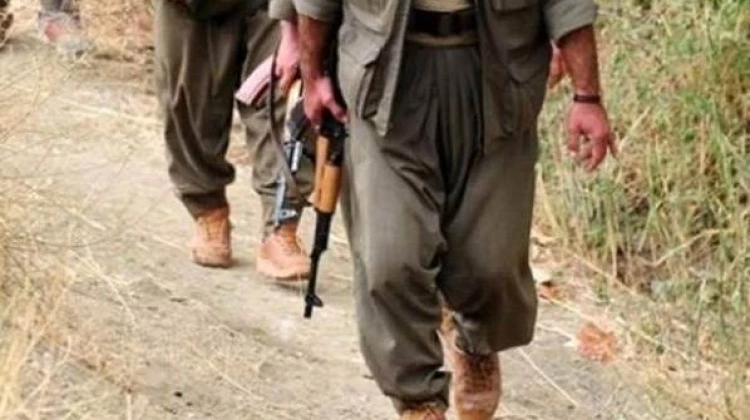 Birliğe saldırı hazırlığındaki 2 PKK'lı öldürüldü