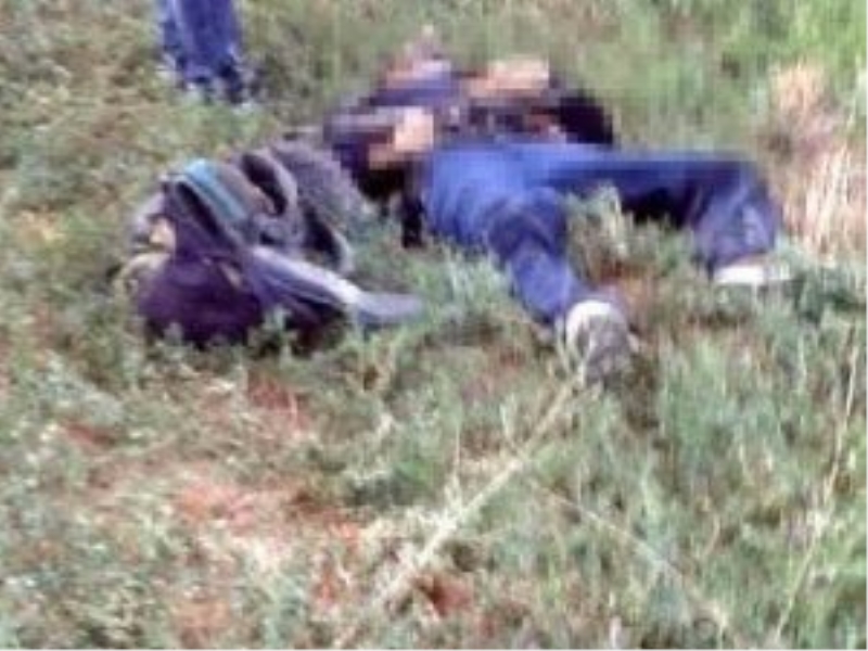 Bitlis'i kana bulayan terörist öldürüldü!