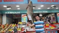 Bu balıkla fotoğraf çektirmek parayla