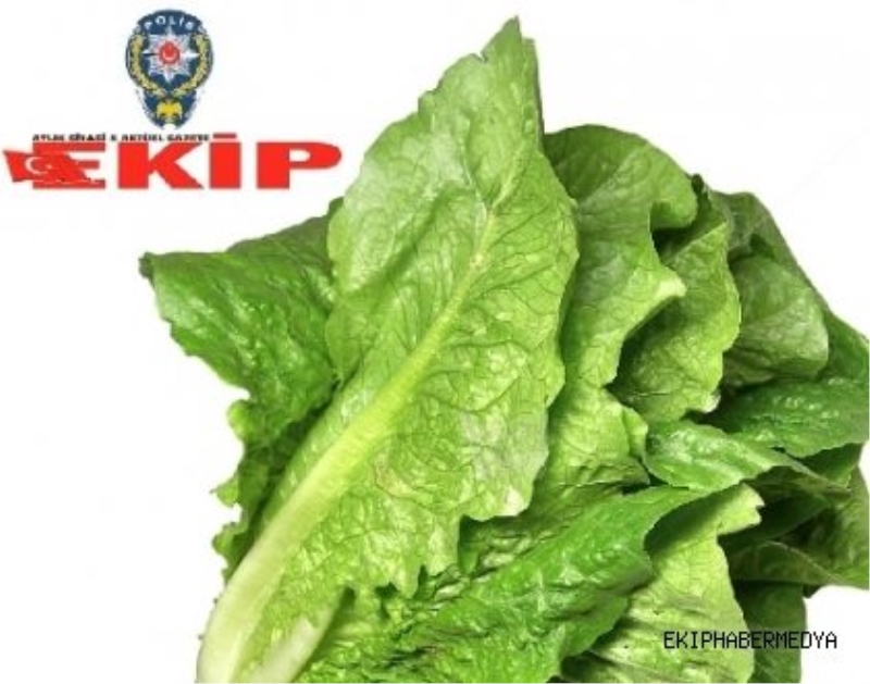 BU SOYGUNA KİM DUR DİYECEK?