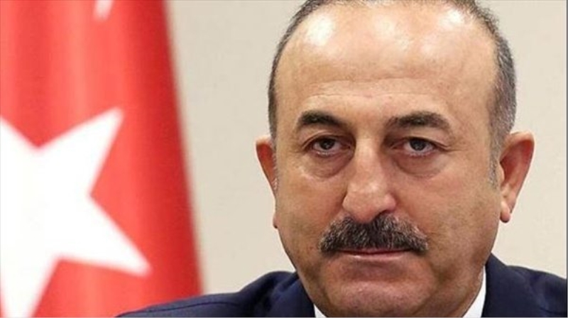 Çavuşoğlu`ndan Avusturyalı mevkidaşına ifade özgürlüğü dersi