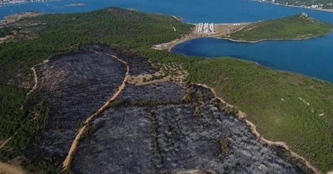Cennet koydaki yangında büyük şüphe