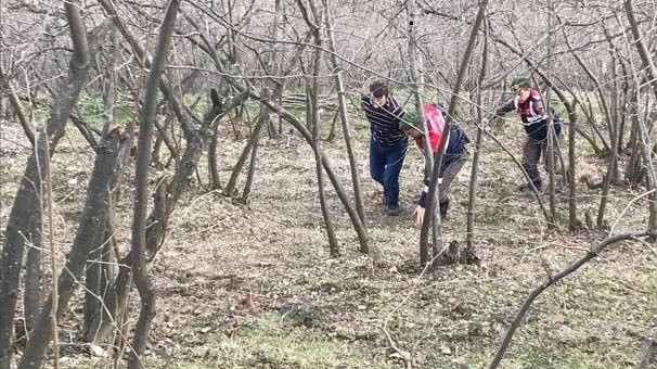 Cezaevi firarisi fındıklıkta yakalandı