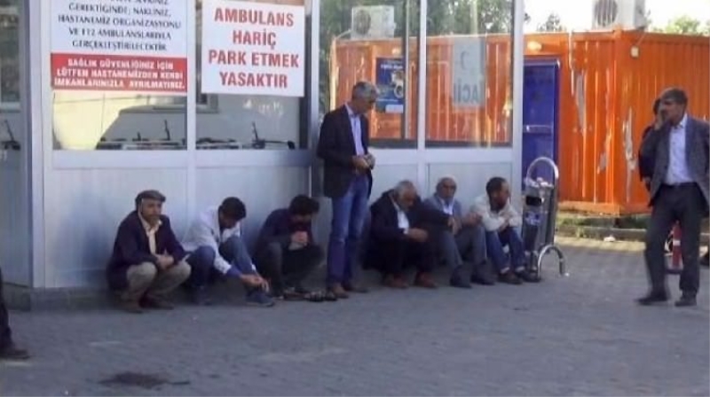 Çobanları darp edip hayvanları çaldılar