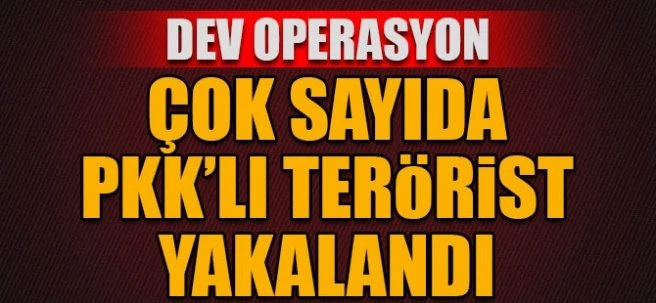 Çok sayıda PKK`lı terörist yakalandı