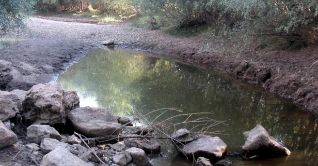 Çöl sıcakları nehri kuruttu