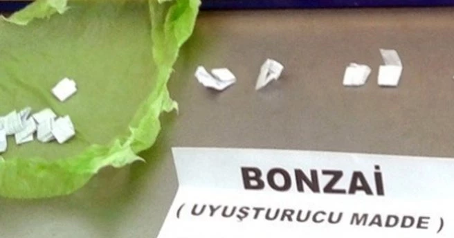 Çorum`da jandarmadan bonzai operasyonu