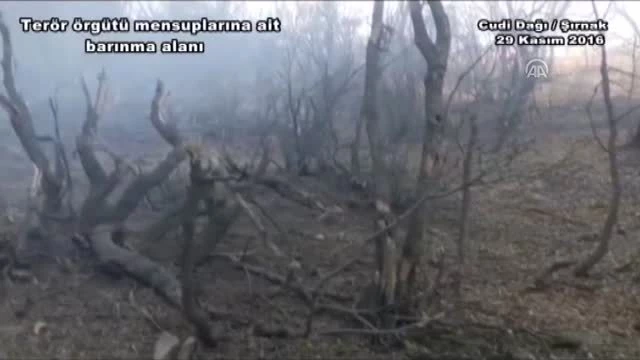 Cudi Dağı Bölgesinde Çok Sayıda Silah, Mühimmat ve Yaşam Malzemesi Ele Geçirildi