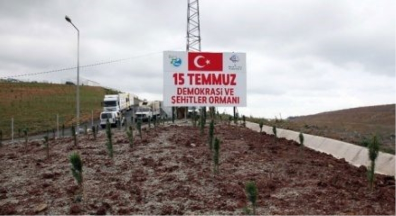 Darbe Şehitleri için 3. köprü girişinde hatıra ormanı