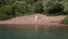 Define avcıları İngiliz askerlerin mezarlarını tahrip etti