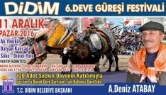 Didim deve güreşi festivali 11 Aralık Pazar günü yapılacak