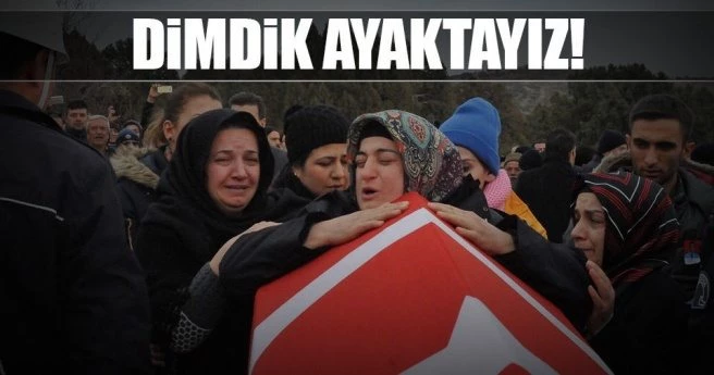 Dimdik ayaktayız