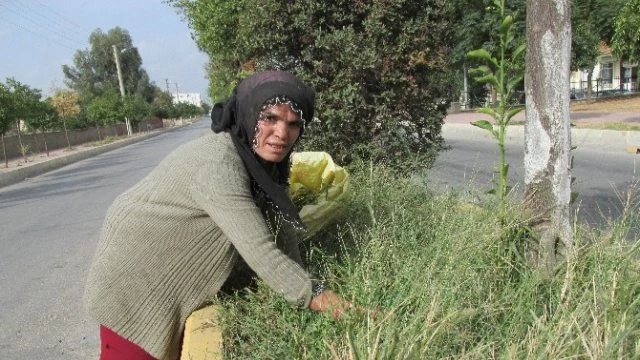 Diyarbakırlı Hasibe`nin Aydın`daki Yaşam Savaşı