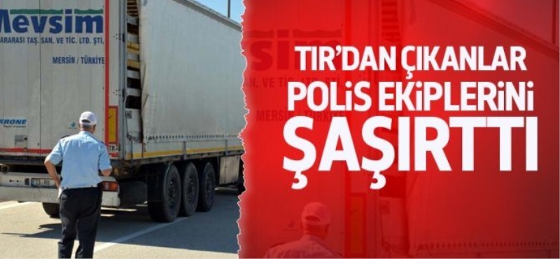 Durdurulan TIR içinden 35 tane at çıktı
