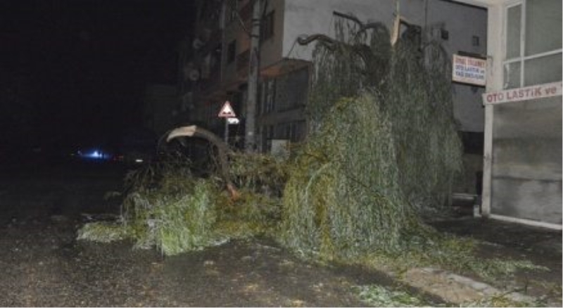Düzce?de hortum: 3 yaralı