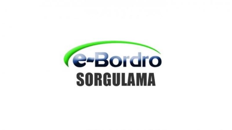 E-Bordro Maaş Sorgulama 15 Haziran Memur Maaşları