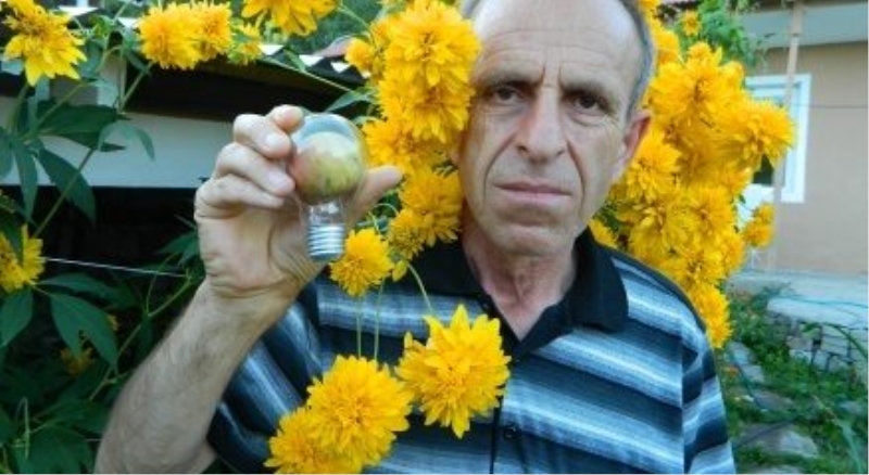 Elektrik ampulünde elma yetiştirdi