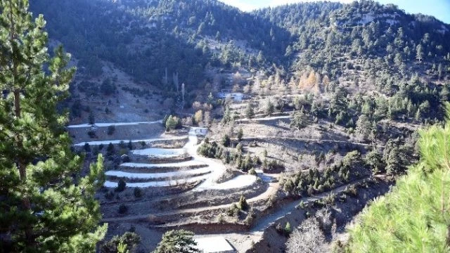 Erdemli İçme Yaylasının Şifalı Suyu Sağlık Turizmine Açılacak
