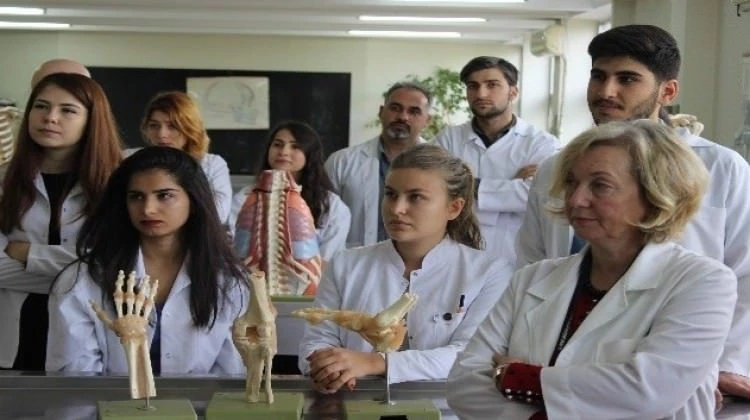 Ev fiyatına ABD'den kadavra ithalatı