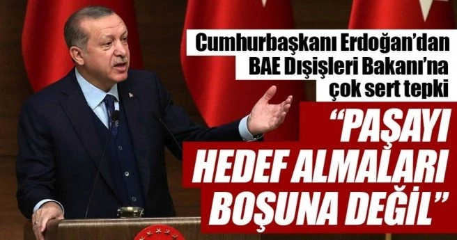 EY ZAVALLI, SENİN CEDDİN NEREDEYDİ?