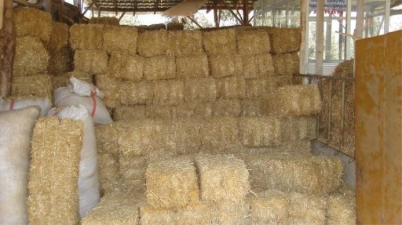 FETÖnün imamı samanlıkta yakalandı