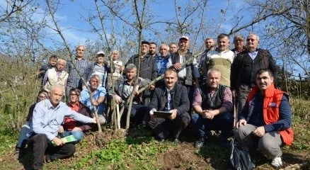 Fındık yetiştiriciliğinde budama elemanı benim projesi